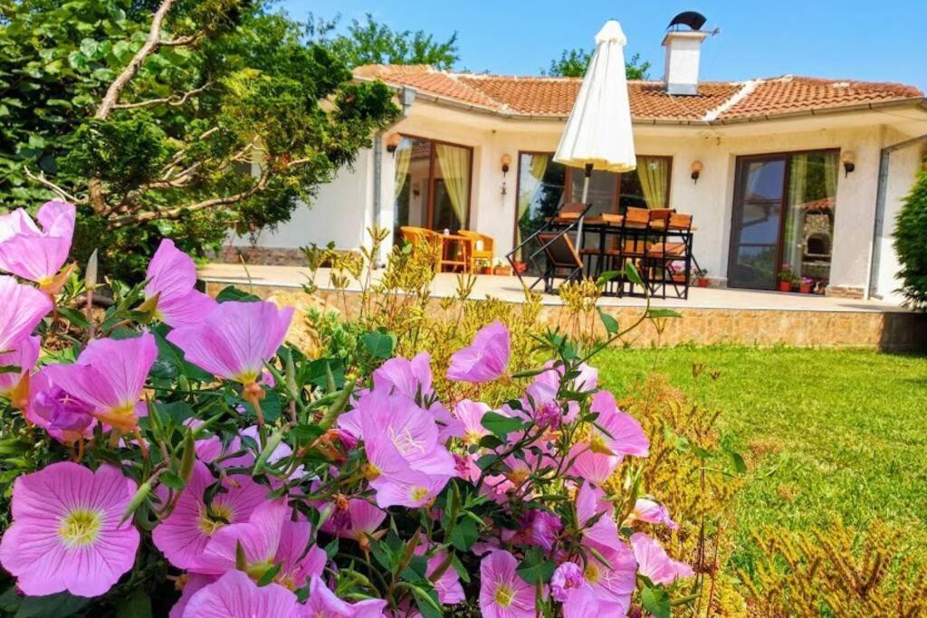 Guesthouse Oasis-Shabla Exterior foto