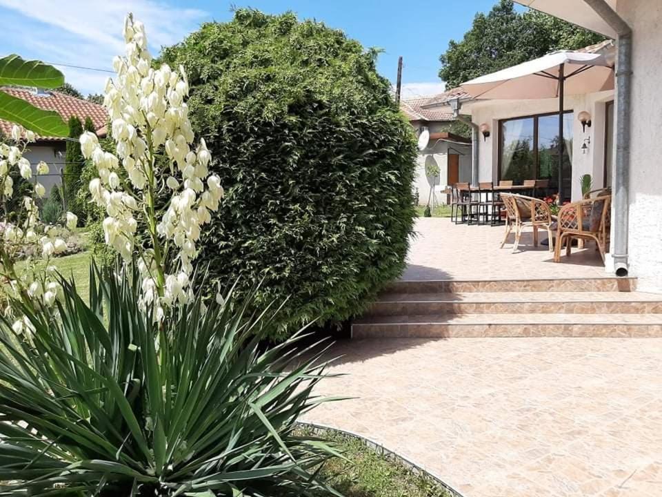 Guesthouse Oasis-Shabla Exterior foto